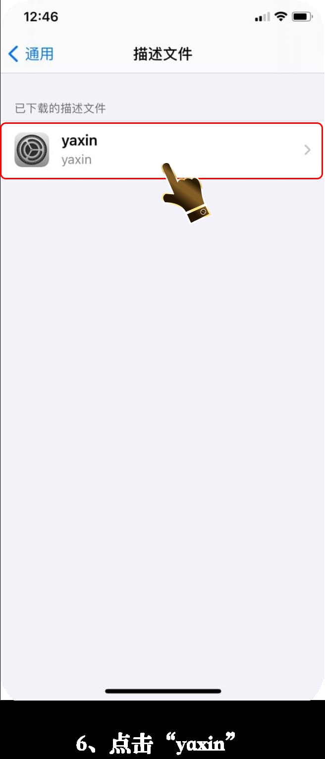 亚星iOS App安装步骤示意图6